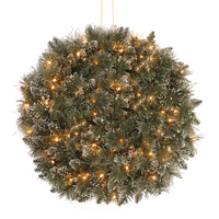 16 in. Pre-Lit Glittery Bristle Pine Kissing Ball with Battery Operated Warm White LED Lights - National Tree Company