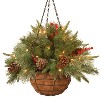 20 in. Pre-Lit Colonial Fir Hanging Basket with LED Lights - National Tree Company