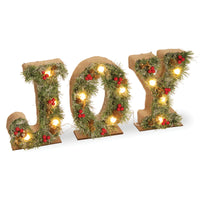 27 in. Pre-Lit JOY Decoration - National Tree Company