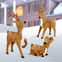 36 in. Standing Reindeer with Clear Lights - National Tree Company